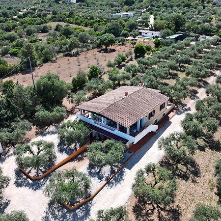 Rustico Degli Ulivi Διαμέρισμα Orosei Εξωτερικό φωτογραφία