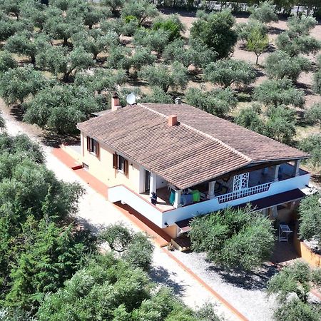 Rustico Degli Ulivi Διαμέρισμα Orosei Εξωτερικό φωτογραφία