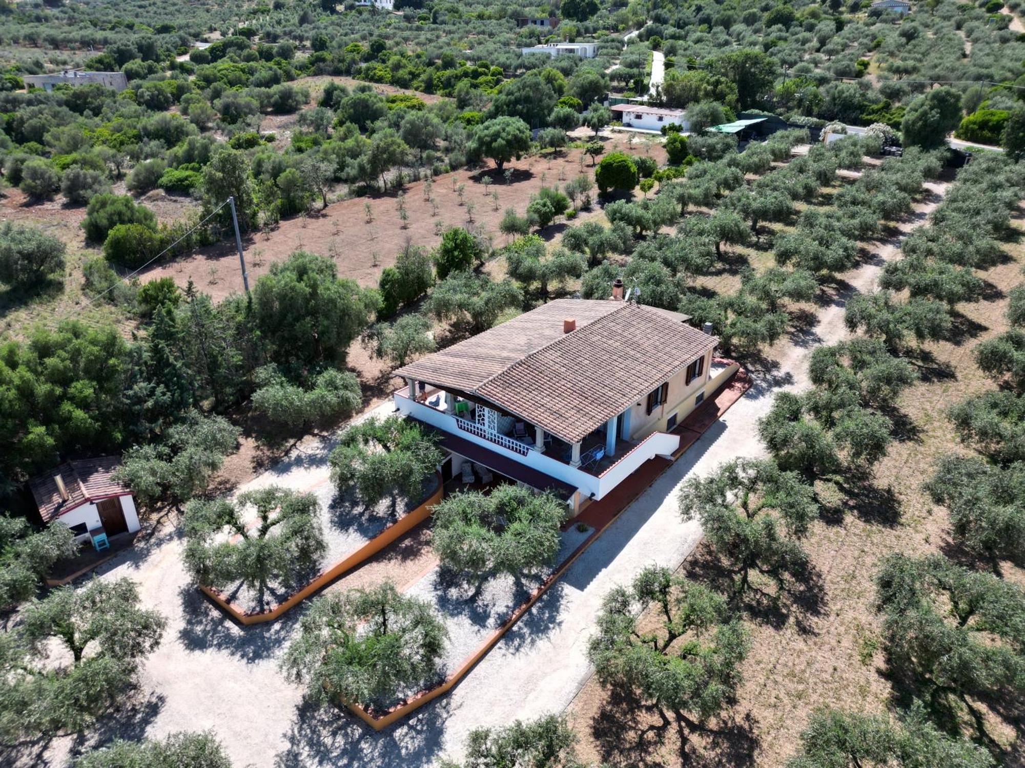 Rustico Degli Ulivi Διαμέρισμα Orosei Εξωτερικό φωτογραφία