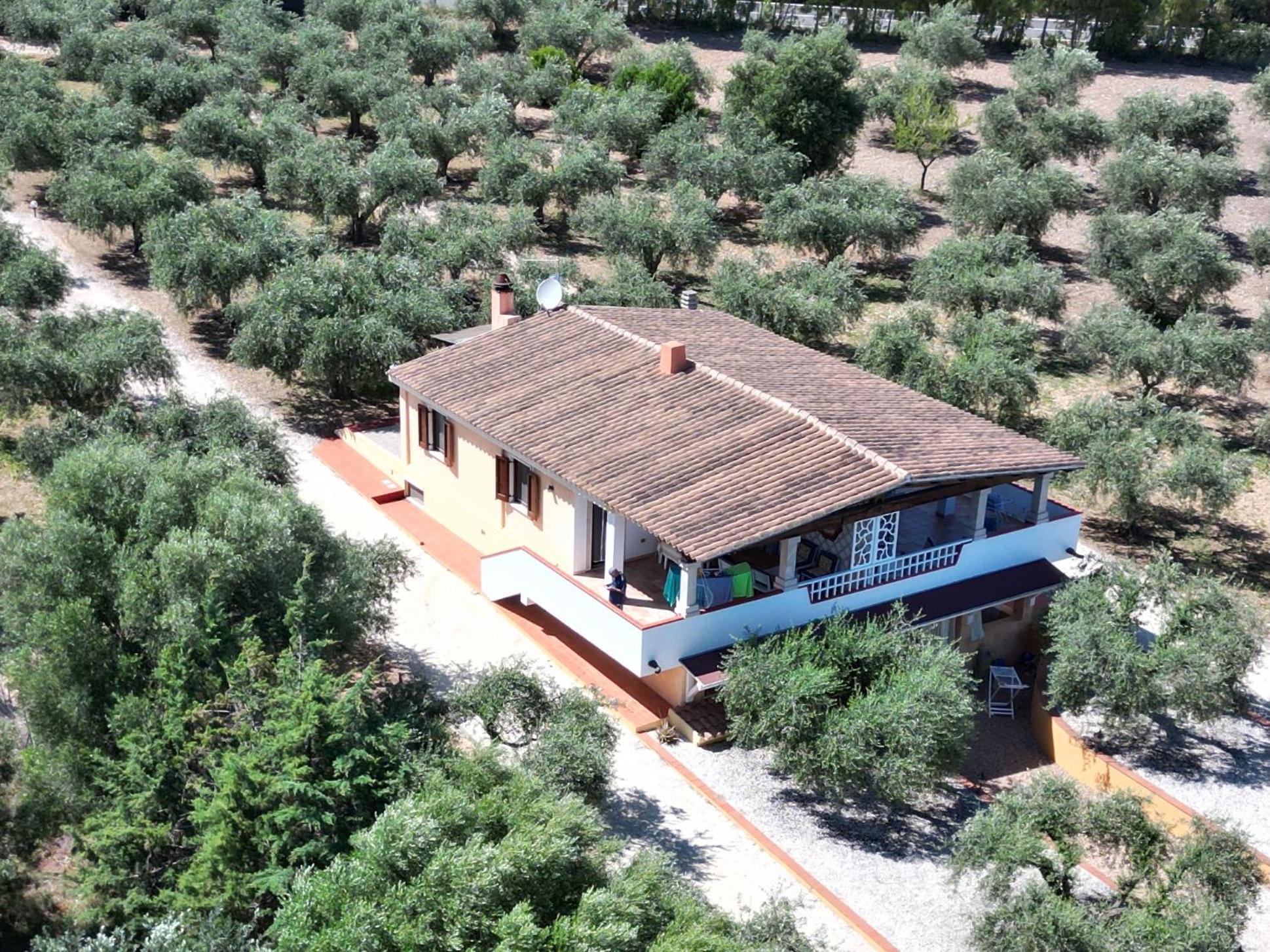 Rustico Degli Ulivi Διαμέρισμα Orosei Εξωτερικό φωτογραφία